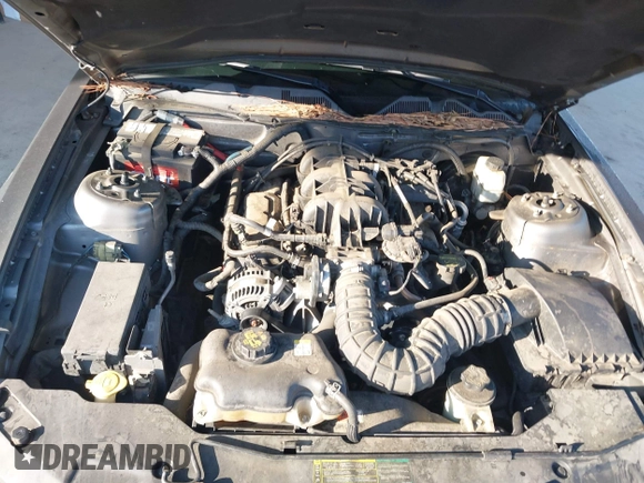 2010 Ford Mustang V6 with VIN 1ZVBP8ENXA5171928, listed as a IAAI auction lot 42556844 with 168,509 mi miles and . Bid and sale history available at DreamBid. Image 10.