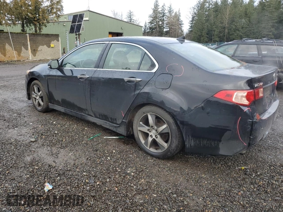 2012 Acura TSX Special Edition with VIN JH4CU2F80CC030904, listed as a Copart auction lot 45603275 with 230,196 mi miles and Salvage Title. Bid and sale history available at carsss.com. Image 2.