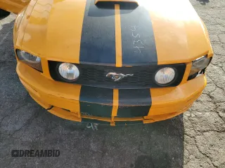 2007 Ford Mustang GT Deluxe with VIN 1ZVFT85H375334354, listed as a Copart auction lot 73364193 with Not Provided miles and Salvage Title. Bid and sale history available at carsss.com. Image 13.