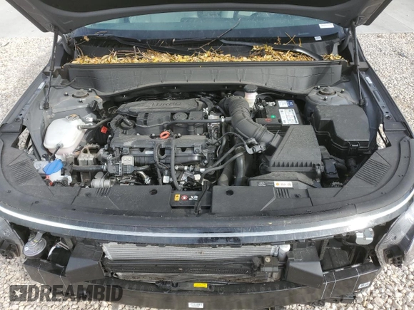 2024 Hyundai Kona Limited with VIN KM8HECA39RU024491, listed as a Copart auction lot 75445174 with 5,475 mi miles and Salvage Title. Bid and sale history available at carsss.com. Image 12.