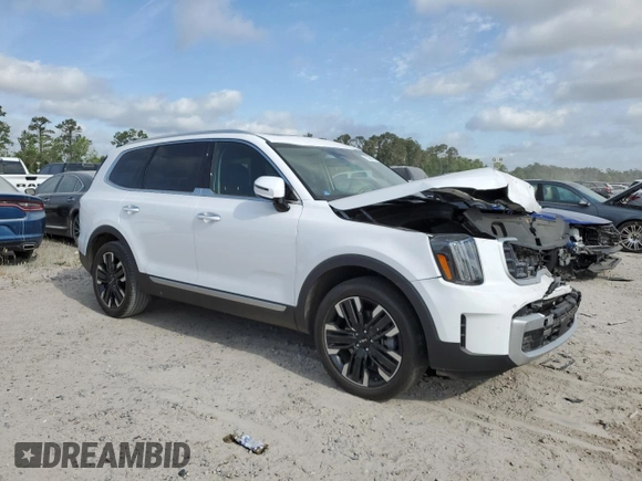 2024 Kia Telluride SX with VIN 5XYP54GC7RG427657, listed as a Copart auction lot 53308975 with Not provided miles and Salvage title. Bid and sale history available at DreamBid. Image 4.