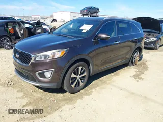 2016 Kia Sorento EX with VIN 5XYPH4A50GG043914, listed as a IAAI auction lot 41670153 with 113,121 mi miles. Bid and sale history available at carsss.com. Image 17.