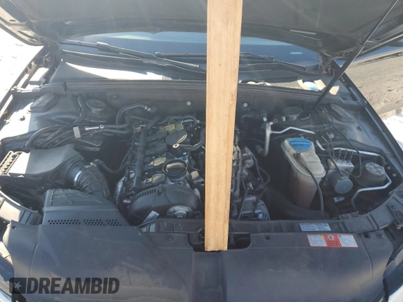 2010 Audi A4 2.0T Premium Plus with VIN WAUEFAFL8AN040405, listed as a Copart auction lot 41536495 with 0 mi miles and Salvage Title. Bid and sale history available at carsss.com. Image 13.