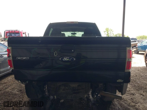 2010 Ford F-150 XL with VIN 1FTEW1E82AFD87433, listed as a IAAI auction lot 42595343 with 159,229 mi miles and . Bid and sale history available at DreamBid. Image 16.
