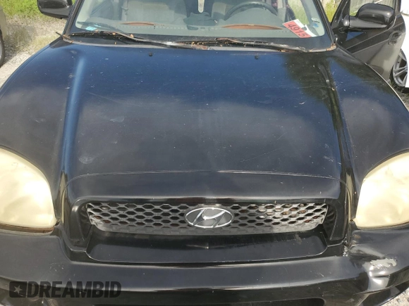 2003 Hyundai Santa Fe GLS with VIN KM8SC13D53U382460, listed as a Copart auction lot 70257874 with 0 mi miles and Salvage Title. Bid and sale history available at carsss.com. Image 11.