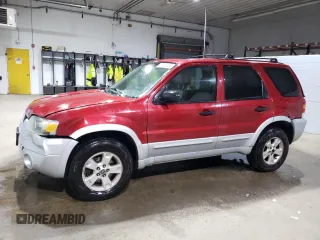 2007 Ford Escape XLT с VIN 1FMYU93187KB34734, выставлен на аукционе Copart как лот 71802694 с пробегом 197 644 миль миль и Списание • Salvage title. История ставок и продаж доступна на DreamBid. Изображение 1.