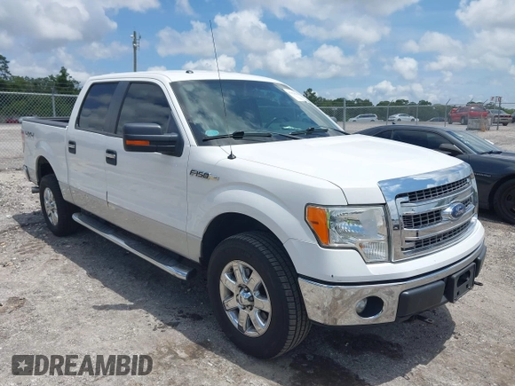 2013 Ford F-150 XL with VIN 1FTFW1EF8DFC39553, listed as a IAAI auction lot 42324628 with Not provided miles and . Bid and sale history available at DreamBid. Image 1.