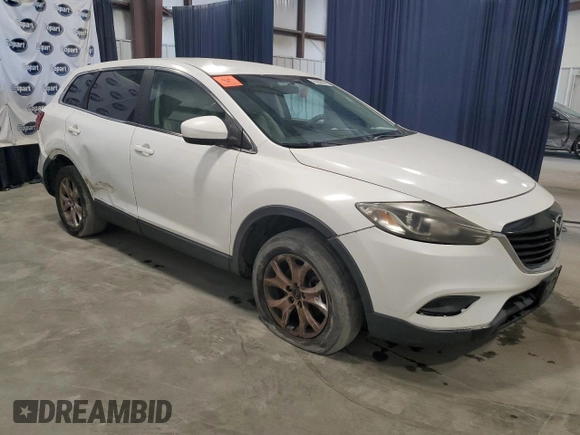 2014 Mazda CX-9 Touring with VIN JM3TB2CA9E0432253, listed as a Copart auction lot 52918325 with 177,097 mi miles and Clean Title. Bid and sale history available at carsss.com. Image 4.