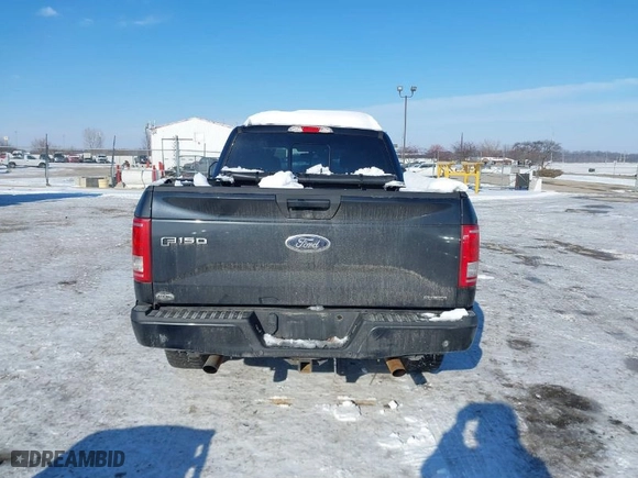 2015 Ford F-150 XLT w/HD Payload Pkg with VIN 1FTFW1EF6FFC08787, listed as a IAAI auction lot 41290445 with 136,293 mi miles. Bid and sale history available at carsss.com. Image 17.