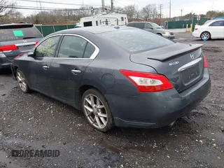 2010 Nissan Maxima 3.5 SV with VIN 1N4AA5AP2AC813162, listed as a IAAI auction lot 41966140 with Not Provided miles. Bid and sale history available at carsss.com. Image 3.