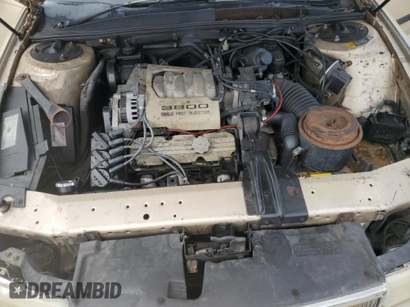 1992 Buick Regal Custom с VIN 2G4WB54L4N1404951, выставлен на аукционе Copart как лот 76303804 с пробегом 65 983 миль миль и Чистый • Clean title. История ставок и продаж доступна на DreamBid. Изображение 11.