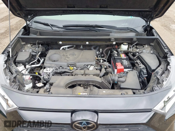 2021 Toyota RAV4 XLE Premium с VIN JTMA1RFV8MD069137, выставлен на аукционе IAAI как лот 42371437 с пробегом 25 602 миль миль и . История ставок и продаж доступна на DreamBid. Изображение 10.