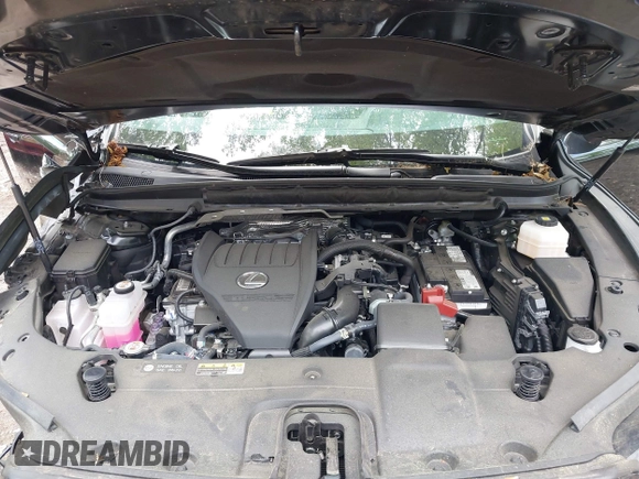 2024 Lexus RX 350 with VIN 2T2BAMCAXRC038674, listed as a IAAI auction lot 42145782 with 38,483 mi miles and . Bid and sale history available at DreamBid. Image 10.