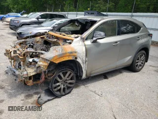 2019 Lexus NX 300 with VIN JTJBARBZ2K2189373, listed as a Copart auction lot 54381935 with Not provided miles and Salvage title. Bid and sale history available at DreamBid. Image 1.