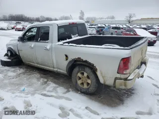2010 Dodge Ram 1500 ST with VIN 1D7RV1GP9AS159628, listed as a Copart auction lot 85763184 with 190,537 mi miles and Clean Title. Bid and sale history available at carsss.com. Image 2.