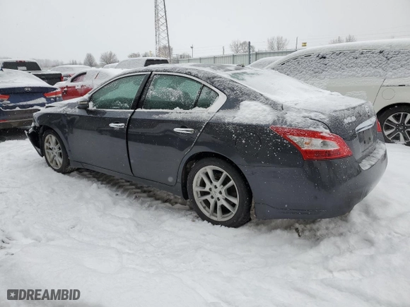 2009 Nissan Maxima 3.5 S with VIN 1N4AA51E19C858992, listed as a Copart auction lot 88049175 with 119,788 mi miles and Salvage Title. Bid and sale history available at carsss.com. Image 2.