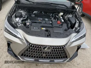 2025 Lexus NX with VIN 2T2GDCAZ1SC020425, listed as a Copart auction lot 74792664 with 252 mi miles and Non Repairable. Bid and sale history available at carsss.com. Image 12.