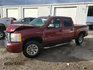2009 Chevrolet Silverado 1500 LS with VIN 3GCEC13C39G208505, listed as a Copart auction lot 44381785 with 66,038 mi miles and Salvage Title. Bid and sale history available at DreamBid. Image 1.
