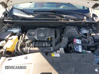 2018 Lexus NX 300 with VIN JTJBARBZ9J2176621, listed as a IAAI auction lot 41403767 with 99,220 mi miles and . Bid and sale history available at DreamBid. Image 10.