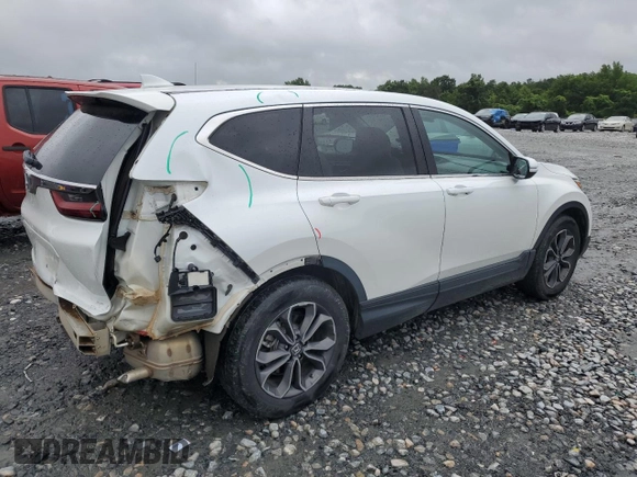 2020 Honda CR-V EX with VIN 7FARW1H59LE004988, listed as a Copart auction lot 59726565 with 38,136 mi miles and Salvage title. Bid and sale history available at DreamBid. Image 3.