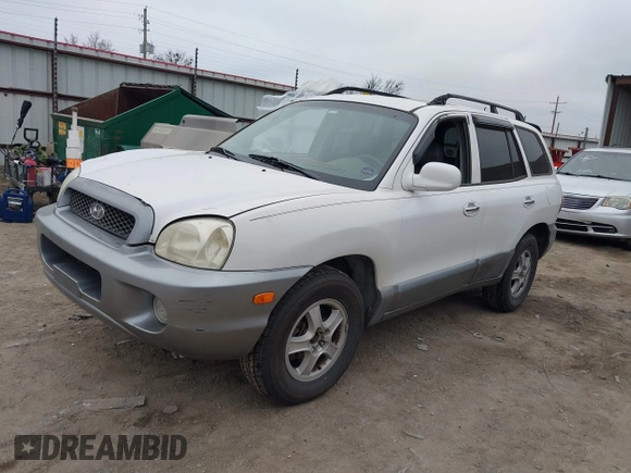 2003 Hyundai Santa Fe GLS with VIN KM8SC13E33U520344, listed as a IAAI auction lot 41528796 with 246,923 mi miles. Bid and sale history available at carsss.com. Image 17.