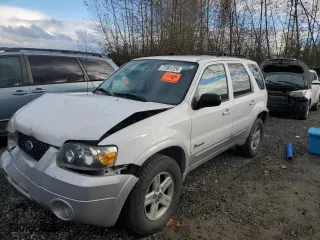 2005 Ford Escape Hybrid with VIN 1FMCU95H95KC74177, listed as a Copart auction lot 77361724 with 195,199 mi miles and Salvage Title. Bid and sale history available at carsss.com. Image 1.