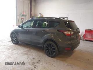 2017 Ford Escape SE with VIN 1FMCU0GD1HUC33119, listed as a IAAI auction lot 41884514 with 99,537 mi miles. Bid and sale history available at carsss.com. Image 3.