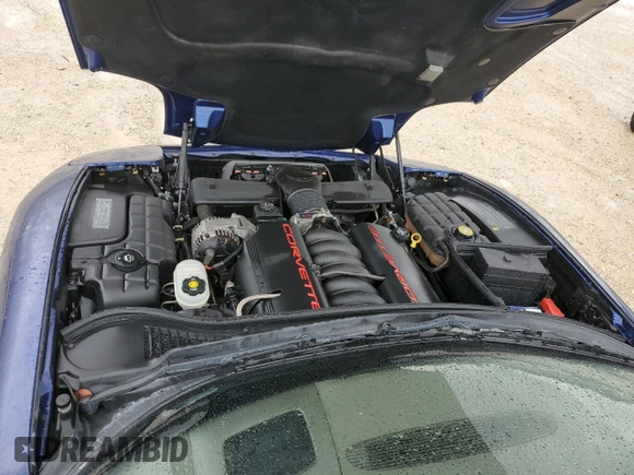 2004 Chevrolet Corvette with VIN 1G1YY32G145108135, listed as a Copart auction lot 74399624 with 0 mi miles and Salvage Title. Bid and sale history available at carsss.com. Image 11.