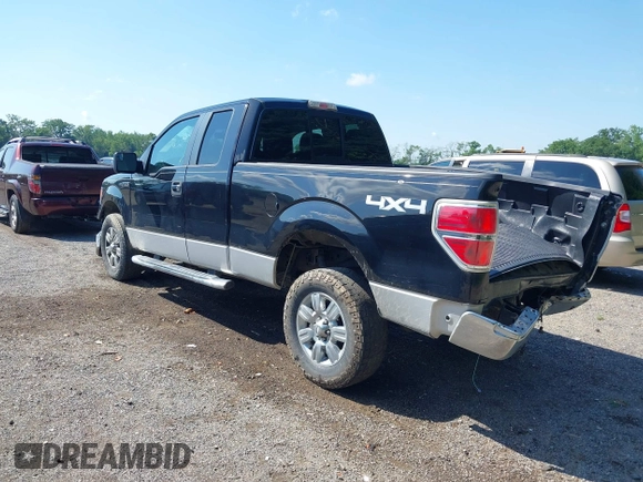 2011 Ford F-150 XL with VIN 1FTFX1EF5BFA30281, listed as a IAAI auction lot 42638798 with 194,071 mi miles and . Bid and sale history available at DreamBid. Image 3.
