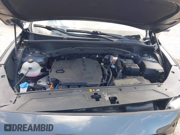 2023 Hyundai Santa Fe SEL with VIN 5NMS34AJ1PH554866, listed as a IAAI auction lot 41912779 with 31,075 mi miles and . Bid and sale history available at DreamBid. Image 10.