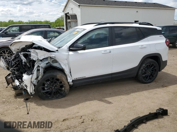 2024 GMC Terrain SLE with VIN 3GKALTEGXRL173306, listed as a Copart auction lot 57458985 with 17,131 mi miles and Non repairable. Bid and sale history available at DreamBid. Image 1.