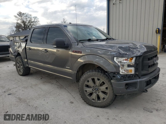 2017 Ford F-150 XL with VIN 1FTEW1EP4HFB03334, listed as a Copart auction lot 80623344 with 123,193 mi miles and Salvage Title. Bid and sale history available at carsss.com. Image 4.