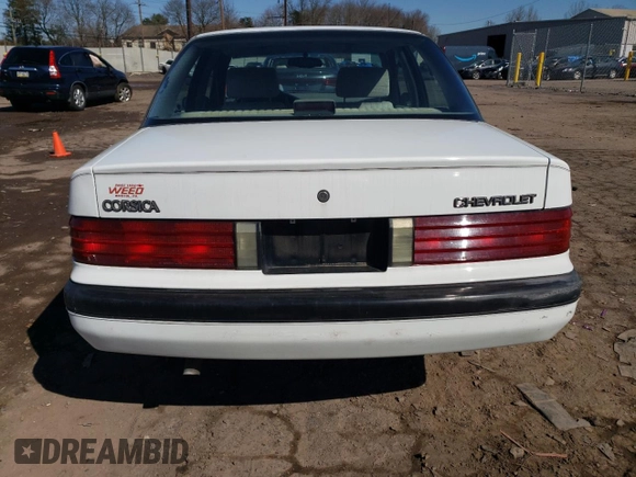 1994 Chevrolet Corsica with VIN 1G1LD55MXRY252632, listed as a Copart auction lot 45009124 with 56,513 mi miles and Salvage Title. Bid and sale history available at DreamBid. Image 6.