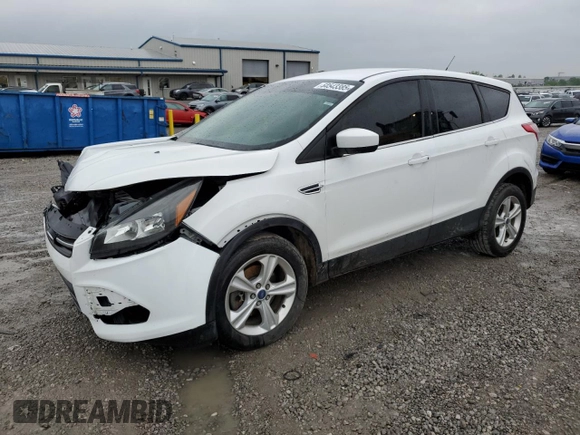2013 Ford Escape SE with VIN 1FMCU9GX7DUA24721, listed as a Copart auction lot 54543385 with 203,036 mi miles and Salvage title. Bid and sale history available at DreamBid. Image 1.