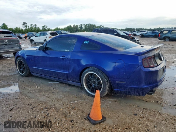 2013 Ford Mustang GT with VIN 1ZVBP8CF1D5244913, listed as a Copart auction lot 59531195 with 102,109 mi miles and Salvage title. Bid and sale history available at DreamBid. Image 2.