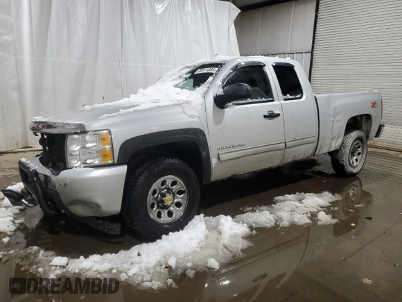 2010 Chevrolet Silverado 1500 LS with VIN 1GCSKREA4AZ251643, listed as a Copart auction lot 88511085 with 136,052 mi miles and Salvage Title. Bid and sale history available at DreamBid. Image 1.