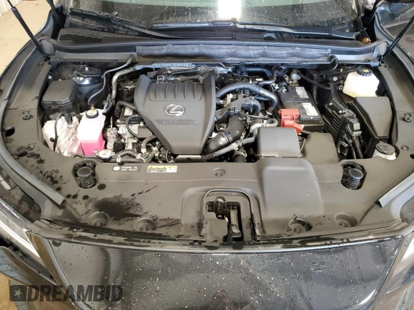 2024 Lexus RX 350 with VIN 2T2BAMCA5RC084462, listed as a Copart auction lot 48794065 with 10,142 mi miles and Salvage Title. Bid and sale history available at DreamBid. Image 14.