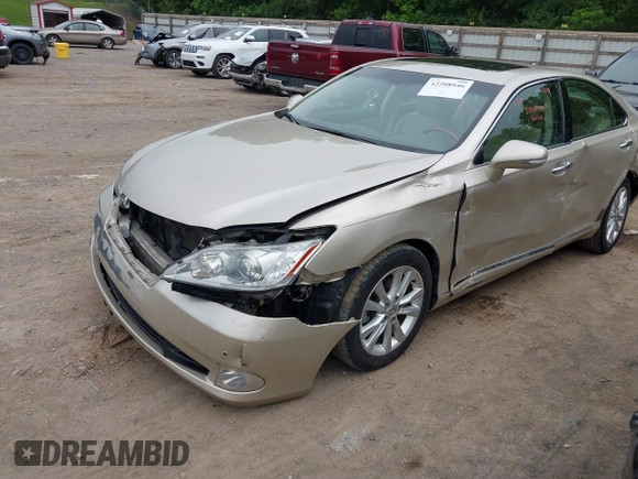 2010 Lexus ES 330 with VIN JTHBK1EG0A2396515, listed as a IAAI auction lot 42208946 with 181,471 mi miles and . Bid and sale history available at DreamBid. Image 6.