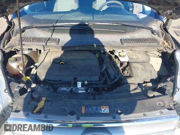 2017 Ford Escape SE with VIN 1FMCU0GD8HUE44687, listed as a IAAI auction lot 41693772 with 132,701 mi miles. Bid and sale history available at carsss.com. Image 10.