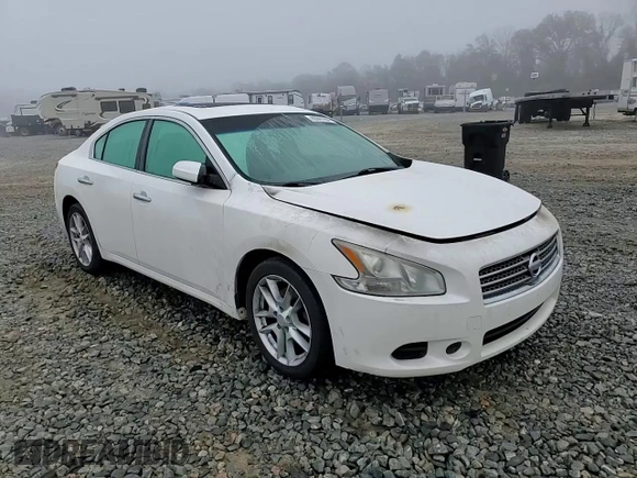 2011 Nissan Maxima SV with VIN 1N4AA5AP6BC836980, listed as a Copart auction lot 52584935 with Not provided miles and Non repairable. Bid and sale history available at DreamBid. Image 10.