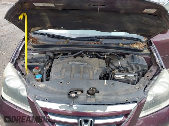 2007 Honda Odyssey Touring with VIN 5FNRL38887B121770, listed as a IAAI auction lot 42253433 with 237,597 mi miles and . Bid and sale history available at DreamBid. Image 10.