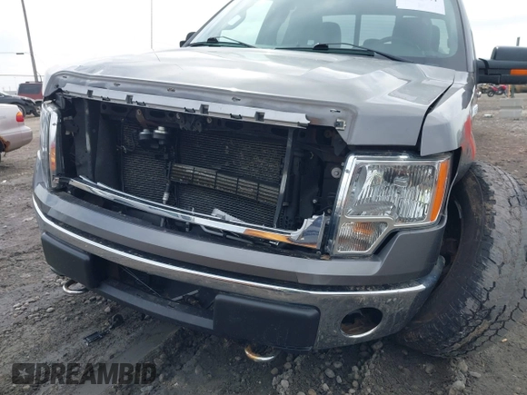 2014 Ford F-150 XL with VIN 1FTFX1EF0EFA99464, listed as a IAAI auction lot 41802971 with 146,091 mi miles. Bid and sale history available at carsss.com. Image 6.