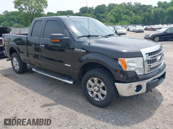 2013 Ford F-150 XL with VIN 1FTFX1ET4DFB28193, listed as a IAAI auction lot 42508120 with 81,930 mi miles and . Bid and sale history available at DreamBid. Image 1.