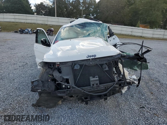 2020 Jeep Grand Cherokee Limited X with VIN 1C4RJEBG9LC439695, listed as a Copart auction lot 76309454 with 0 mi miles and Salvage Title. Bid and sale history available at carsss.com. Image 5.