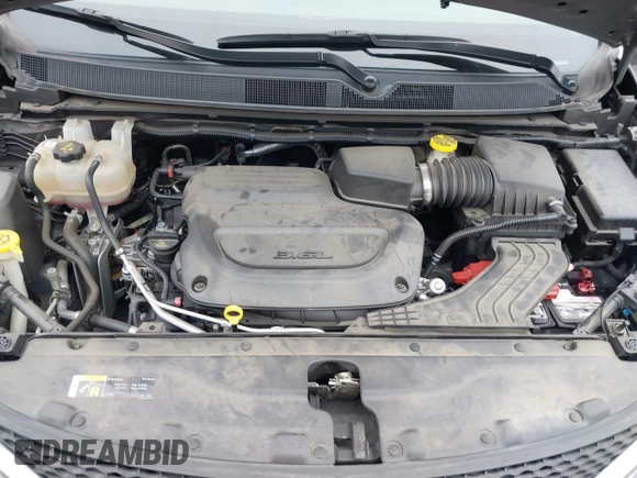 2020 Chrysler Pacifica Touring with VIN 2C4RC1FG3LR245765, listed as a IAAI auction lot 42069689 with 40,869 mi miles and . Bid and sale history available at DreamBid. Image 10.