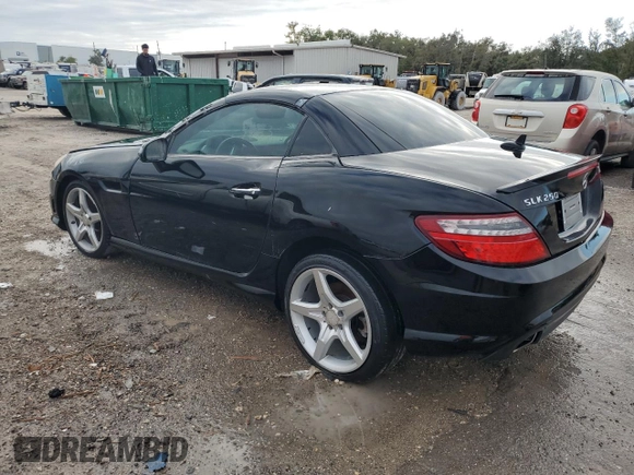 2013 Mercedes-Benz SLK 250 with VIN WDDPK4HA9DF061496, listed as a Copart auction lot 78623714 with Not provided miles and Salvage title. Bid and sale history available at DreamBid. Image 2.