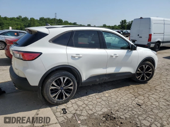 2022 Ford Escape SE with VIN 1FMCU9G62NUB44239, listed as a Copart auction lot 60988765 with Not provided miles and Salvage title. Bid and sale history available at DreamBid. Image 3.