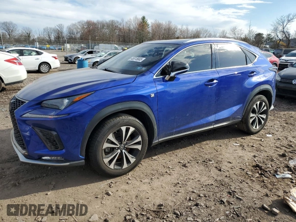 2020 Lexus NX with VIN JTJSARDZ2L2223679, listed as a Copart auction lot 46515665 with 55,746 mi miles and Salvage Title. Bid and sale history available at carsss.com. Image 1.