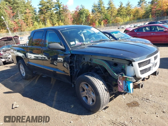 2011 Ram Dakota Bighorn/Lonestar with VIN 1D7RW3GK1BS606466, listed as a IAAI auction lot 40529380 with 110,431 mi miles. Bid and sale history available at carsss.com. Image 1.