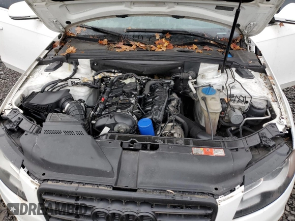 2009 Audi A4 Prestige with VIN WAUMF78K39N012896, listed as a Copart auction lot 82490104 with 105,474 mi miles and Clean title. Bid and sale history available at DreamBid. Image 11.